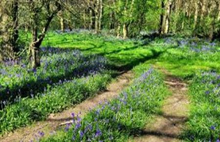 Picture for category Series Finale at Catton Hall