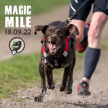 Picture of Magic Mile - 18th September 2022