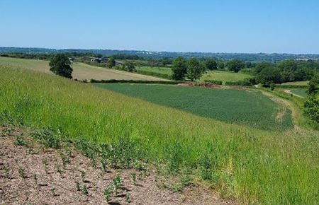 Picture for category Alcester Entry Page