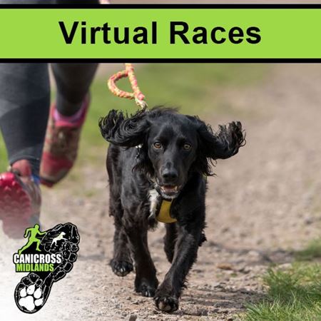 Picture for category Virtual Races 2024 - 2025 Series
