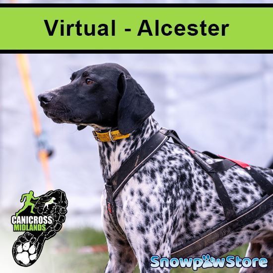 Picture of VIRTUAL Alcester 2025