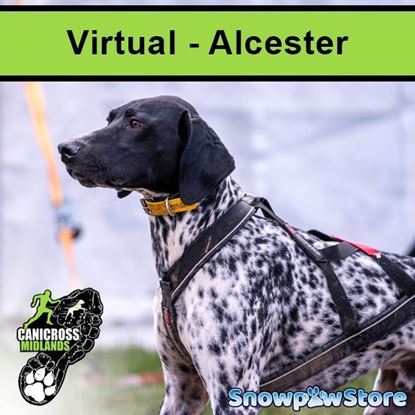 Picture of VIRTUAL Alcester Oct 2025