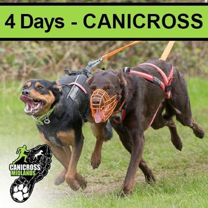 Picture of 1. Catton 2025 - 4 Days CANICROSS