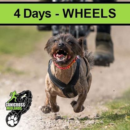 Picture of 2. Catton 2025 - 4 Days WHEELS