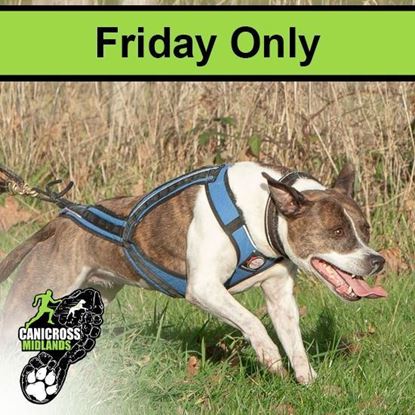 Picture of 3. Catton 2025 - Friday Only
