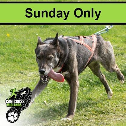 Picture of 5. Catton 2025 - Sunday Only