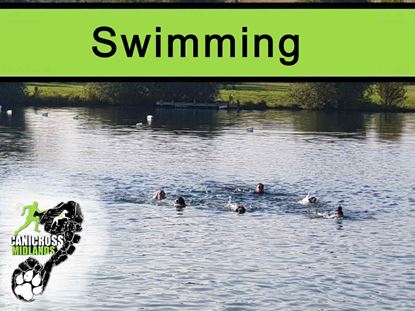 Picture of Box End 2025 Swimming