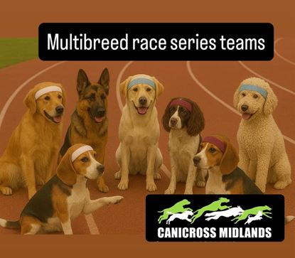 Picture of 2025 Multi-breed Team entry