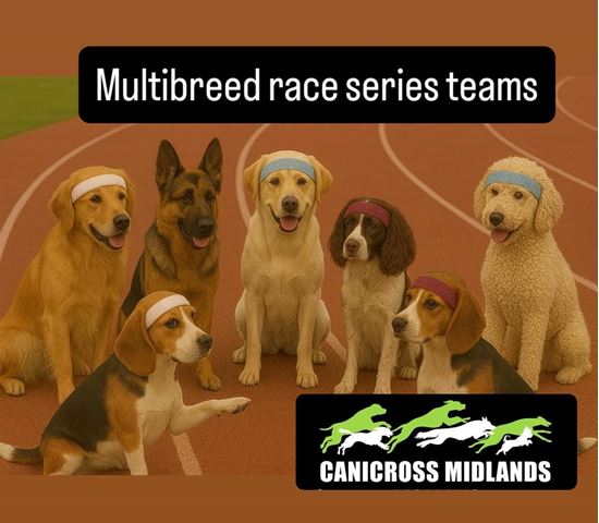 Picture of 2025 Multi-breed Team entry