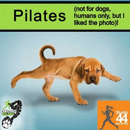 Picture of Box End 2025 Pilates