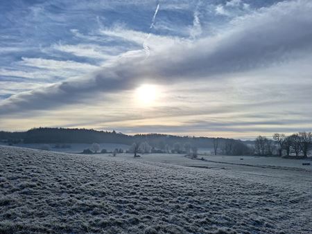 Picture for category Eland Entry Page