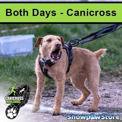 Picture of Eland - Both days - Canicross