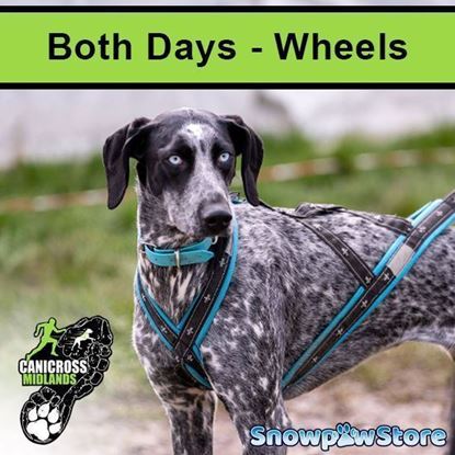 Picture of Eland - Both days - Wheels