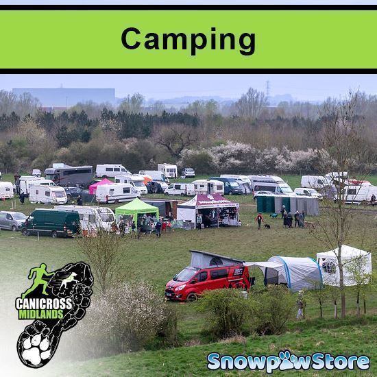 Picture of Eland - Camping