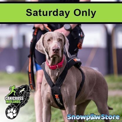 Picture of Bury - SATURDAY Only