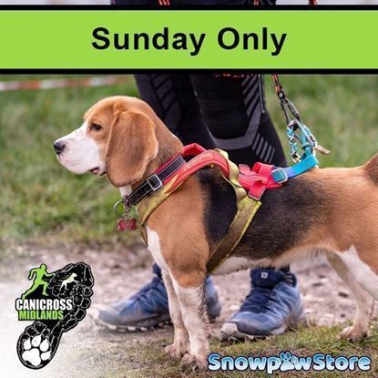 Picture of Bury - SUNDAY Only