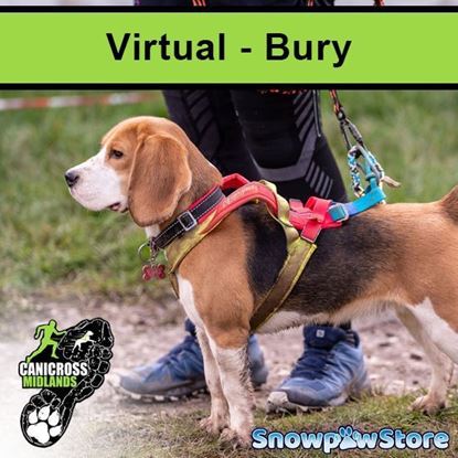 Picture of VIRTUAL Bury 2026