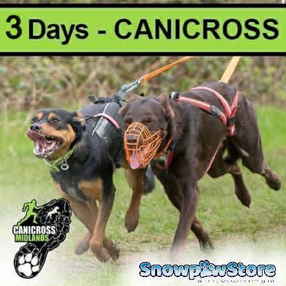 Picture of Catton 2026 - 3 Days CANICROSS