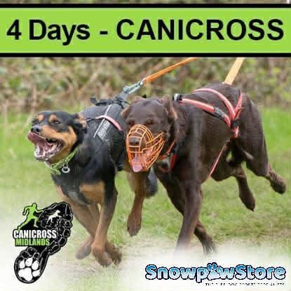 Picture of Catton 2026 - 4 Days CANICROSS