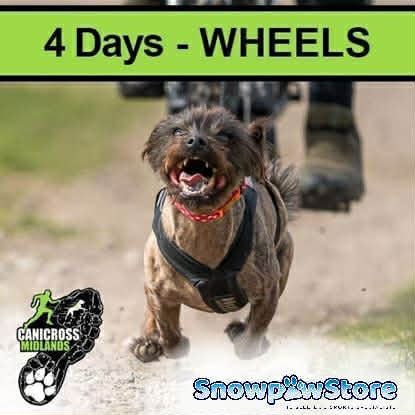 Picture of Catton 2026 - 4 Days WHEELS