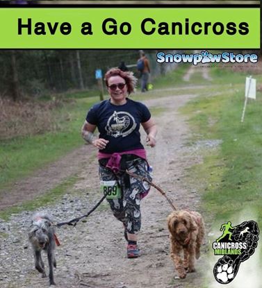 Picture of Catton Have a Go Canicross 2026