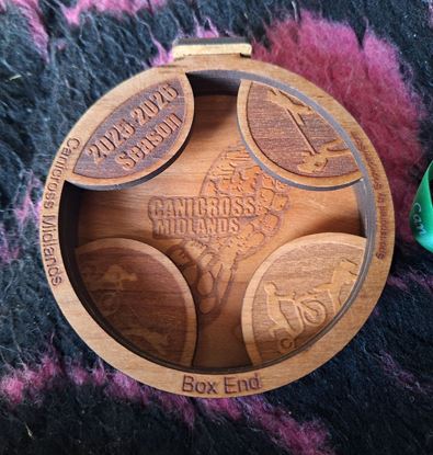 Picture of SnowPaws Widget for 2025-2026 medals