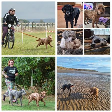 Picture for category Vice Chair Person