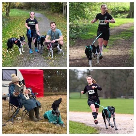 Picture for category Animal Welfare Officer