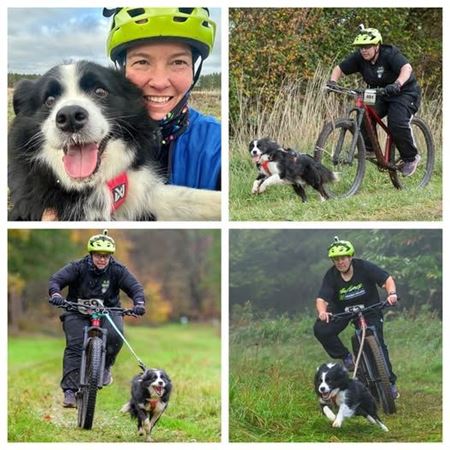 Picture for category Social Media Coordinator